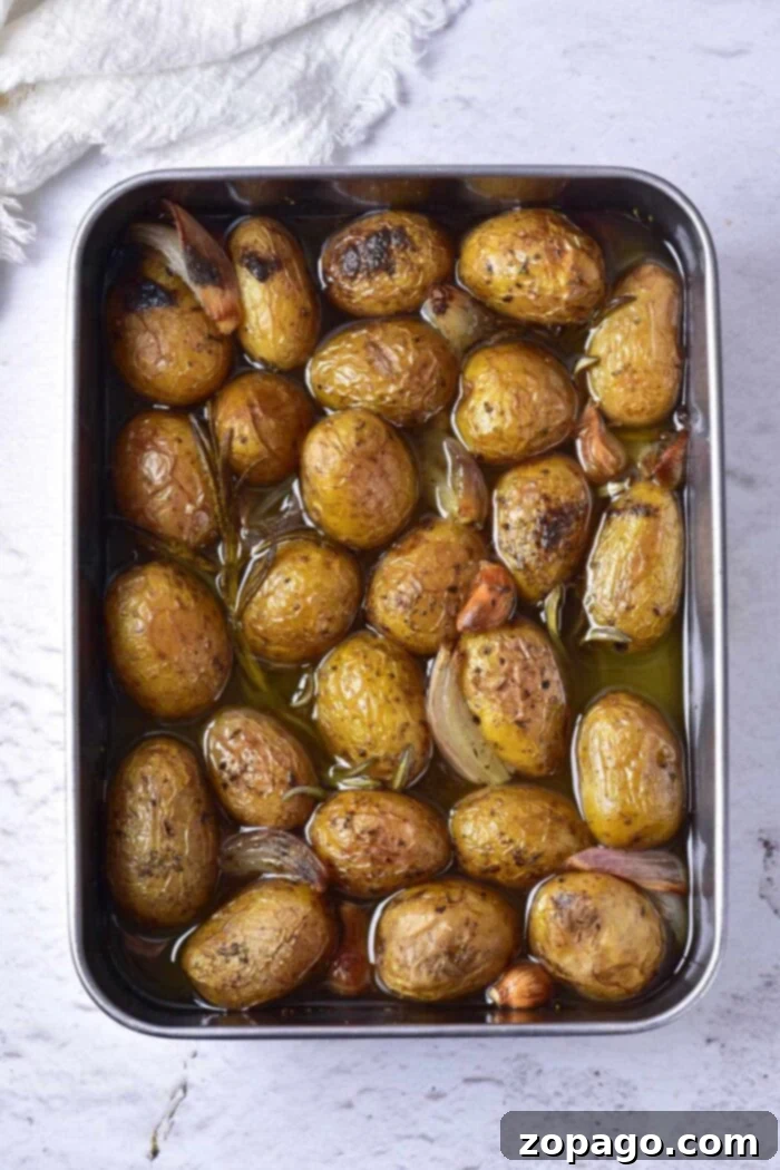 Olive Oil Confit Potatoes 2 Roasted Little Potatoes in Oven