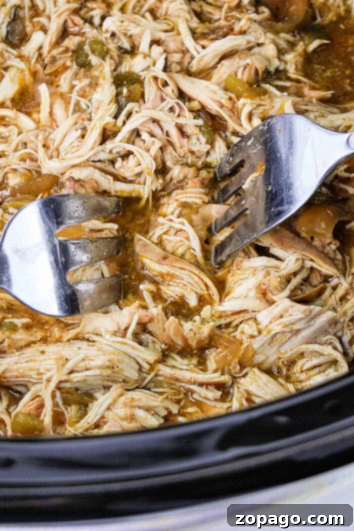 Zesty Slow Cooker Green Chili Chicken 7 Shredding chicken breasts with two forks in a slow cooker.