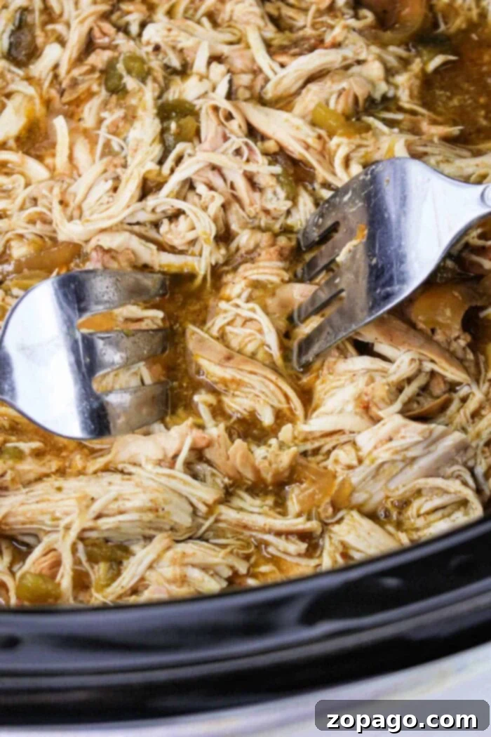 Melt-in-Your-Mouth Green Chili Chicken 6 Hands using two forks to shred tender cooked chicken breasts in a bowl.