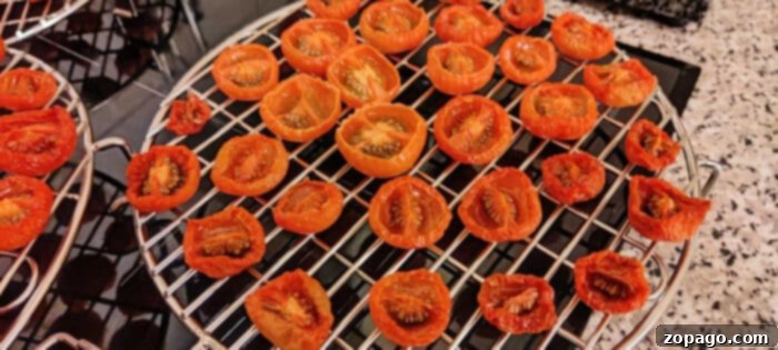 dehydrate tomatoes in Ninja Foodi