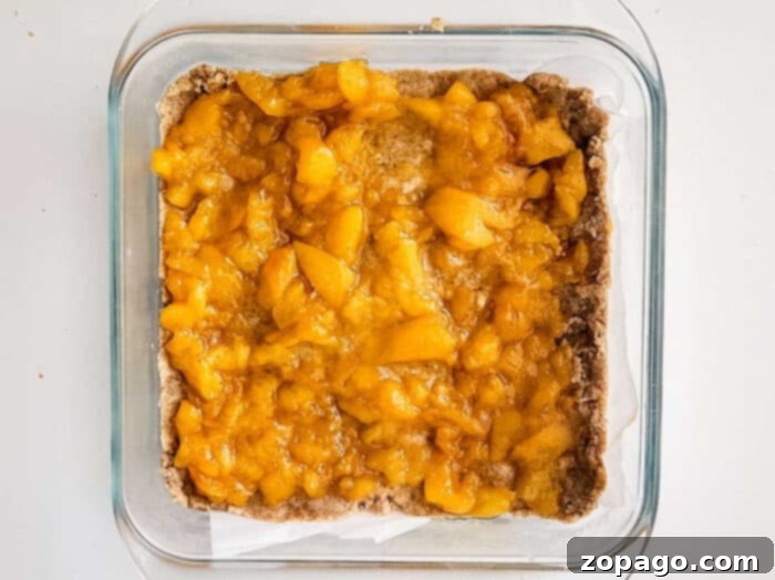 Easy Peach Crumble Bars 6 Close-up of golden-brown peach crumb bars, revealing the juicy, sweet peach layer beneath the irresistible streusel topping, glistening and ready to be enjoyed.