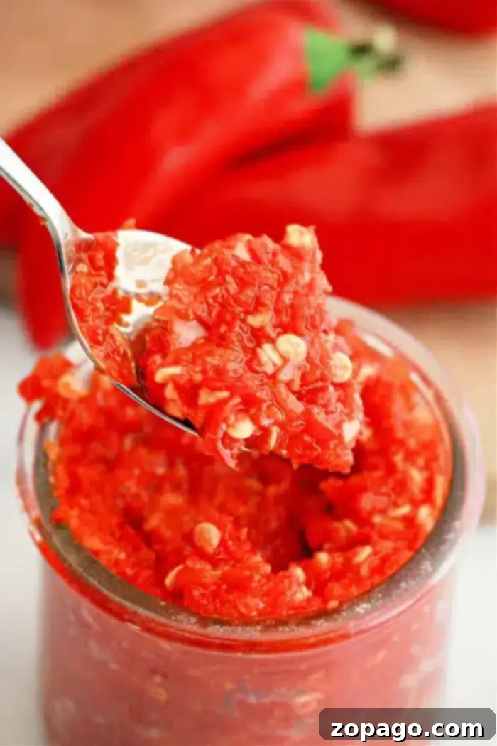 Fiery Garlic Chili Paste 2 A spoonful of bright red garlic chili paste is lifted from a jar. The paste appears chunky with visible seeds, hinting at its rich texture. In the background, whole red peppers are partially visible on a wooden surface, inspiring culinary creativity with this vibrant recipe.