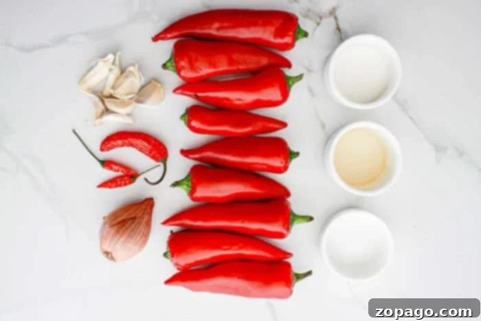 Fiery Garlic Chili Paste 4 Organized on a white surface are ingredients for a Garlic Chili Paste recipe: a cluster of garlic cloves, two small red chili peppers, a shallot, several large red chili peppers, and four small white bowls containing different ingredients.