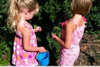 Temecula Blueberry Picking