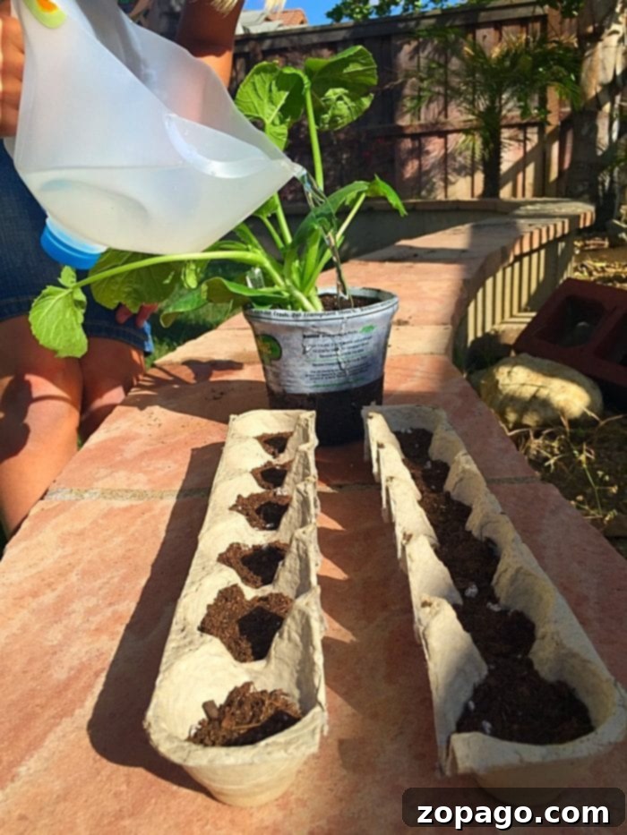 A person demonstrates engaging gardening activities for kids by watering a potted plant, with two empty egg cartons ready to be repurposed as seed starters, symbolizing sustainable and educational play.
