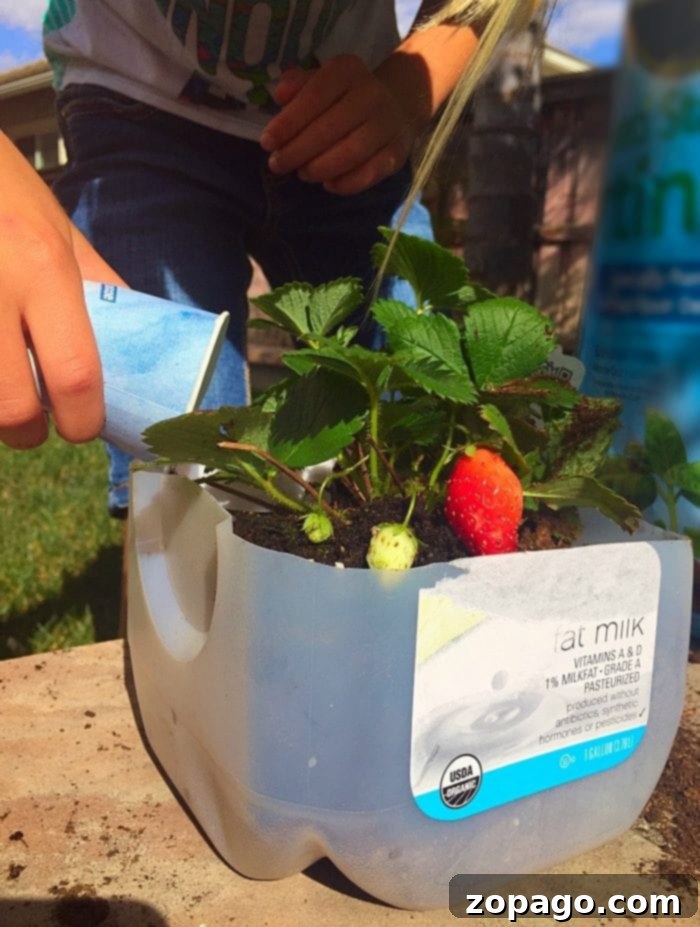 A child's hands carefully tend to a small plant, illustrating the immersive and hands-on gardening activities for kids that foster a love for nature and responsibility.