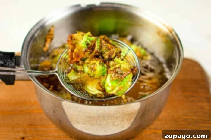 Golden Crispy Brussels Sprouts 6 Deep Fried Brussel Sprouts with Balsamic and optional toppings