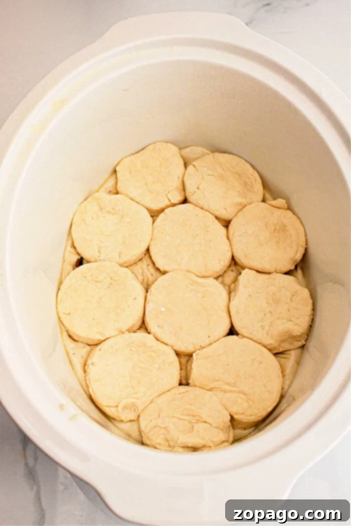 A white slow cooker with a lid open, showcasing an arrangement of what appears to be raw dough biscuits neatly placed inside. The interior and the sides of the slow cooker are visible. The background shows a grayish-white surface, setting the stage for some delicious Slow Cooker Biscuits and Gravy.