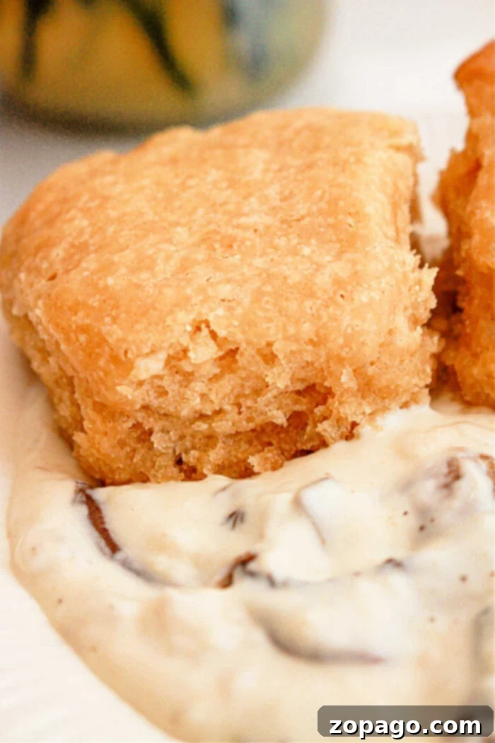 Close-up of a biscuit with a golden-brown crust placed on top of white gravy with visible bits of mushroom. The texture of the biscuit looks flaky and crumbly, while the gravy appears creamy and thick. This Slow Cooker Biscuits and Gravy dish promises comfort in every bite.