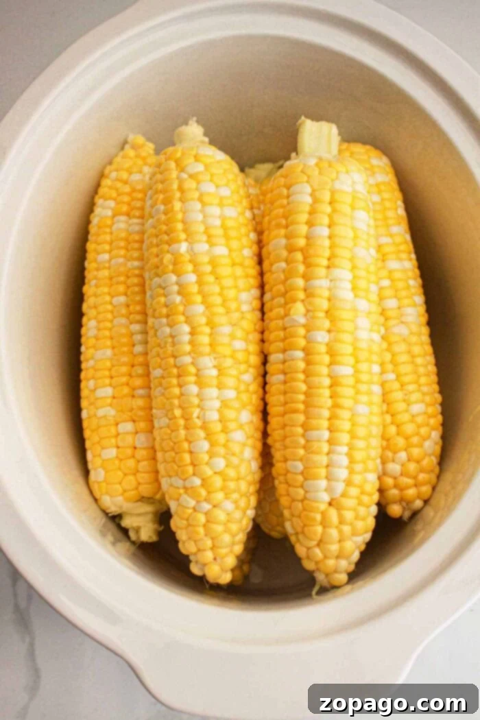 Perfect Slow Cooker Corn on the Cob 5 Four ears of corn are placed inside a white crockpot. The corn on the cob appears to be fresh with kernels that are a mix of yellow and white. The slow cooker is situated on a light-colored surface.