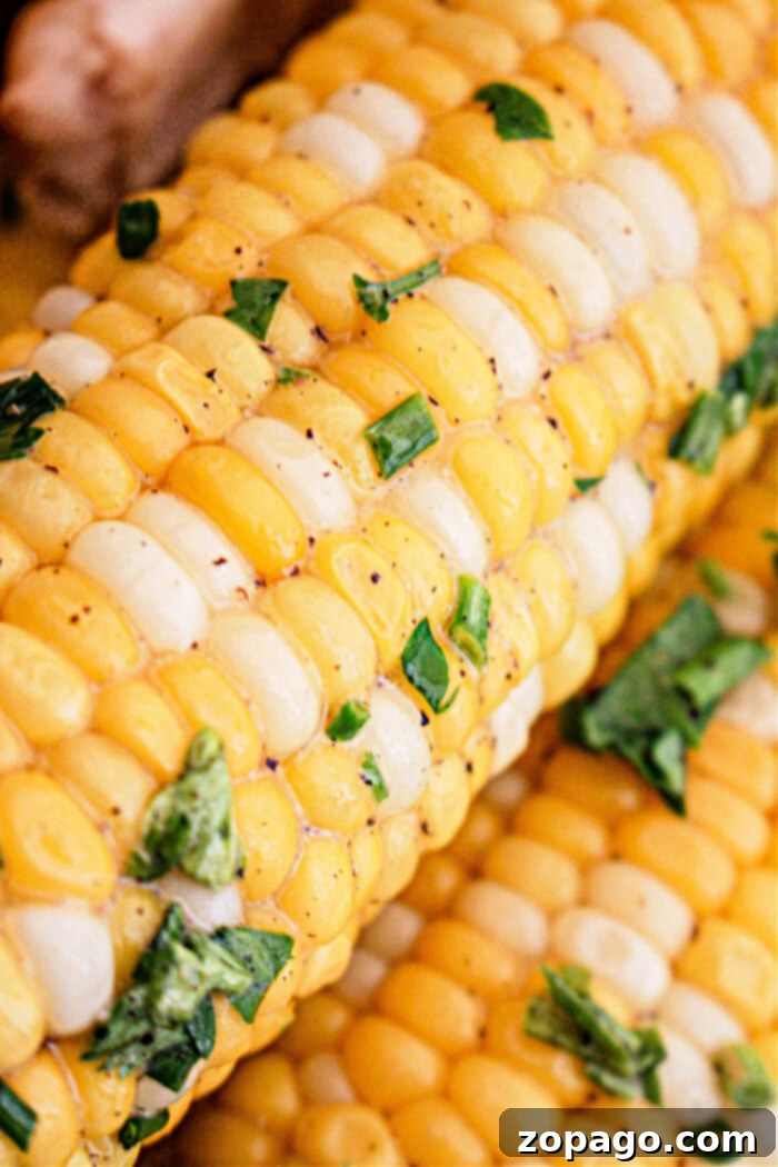 Perfect Slow Cooker Corn on the Cob 6 Close-up image of Crockpot Corn on the Cob sprinkled with fresh chopped parsley or cilantro. The corn kernels are alternating yellow and white, showcasing a vibrant and delicious dish.