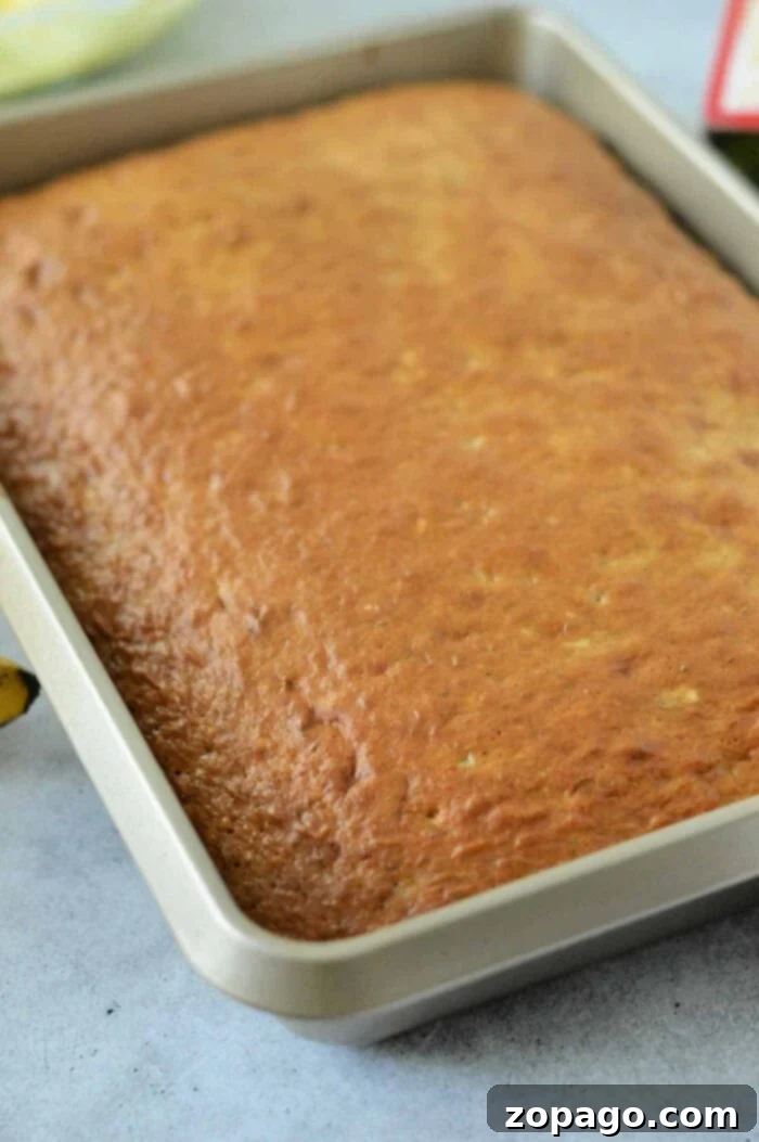 Cake Mix Banana Cake 6 A rectangular banana cake, baked to a golden color using a cake mix, is shown in a metal baking pan. The cake has a smooth, slightly textured surface, and the edges are slightly raised. The background is a light-colored countertop.