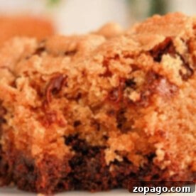 Close-up of a moist slice of chocolate chip cookie cake on a white plate, resembling the perfect blend achieved when learning how to make brookies with brownie mix and cookie dough. The golden-brown crust and melted chocolate chips create a deliciously textured and rich appearance.