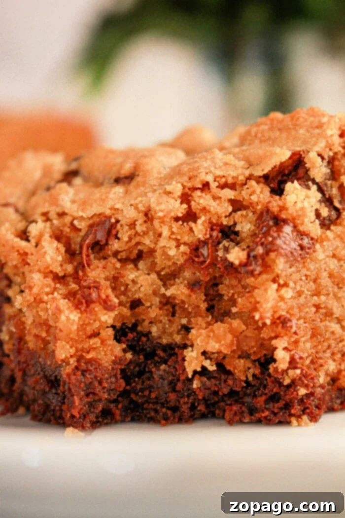 Fudgy Cookie Dough Brookies 7 Close-up of a moist slice of chocolate chip cookie cake on a white plate, resembling the perfect blend achieved when learning how to make brookies with brownie mix and cookie dough. The golden-brown crust and melted chocolate chips create a deliciously textured and rich appearance.