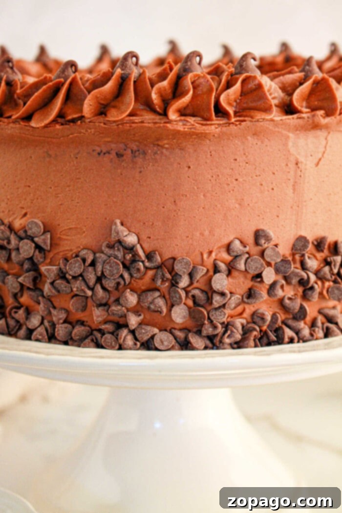 Brownie Mix Cake Upgrade 2 A decadent chocolate cake, crafted with brownie mix, is adorned with swirled frosting and dotted chocolate chips along the sides, elegantly perched on a white stand.