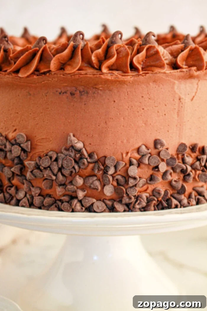 Decadent Brownie Mix Cake 2 A decadent chocolate cake, crafted with brownie mix, is adorned with swirled frosting and dotted chocolate chips along the sides, elegantly perched on a white stand.