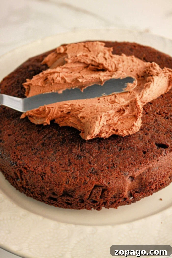 Brownie Mix Cake Upgrade 4 A knife gracefully spreads chocolate frosting on a round brownie cake, crafted from rich brownie mix, resting elegantly on a white plate.