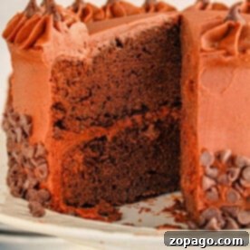 Brownie cake with chocolate frosting and decorative chocolate chips on a white cake stand. A slice is removed, showcasing the rich texture of the brownie mix.