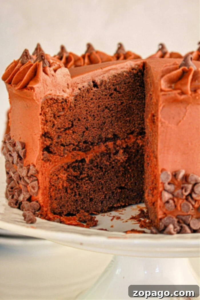 Brownie Mix Cake Upgrade 6 Brownie cake with chocolate frosting and decorative chocolate chips on a white cake stand. A slice is removed, showcasing the rich texture of the brownie mix.