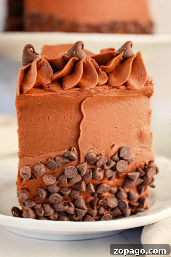 Brownie Mix Cake Upgrade 7 A slice of decadent brownie cake made with rich brownie mix, adorned with chocolate chips and frosting, rests invitingly on a white plate.