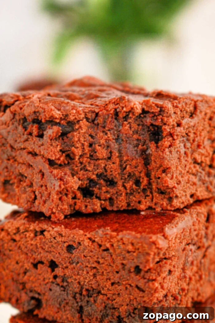 Secretly Fudgy Black Bean Brownies 2 Close-up of two stacked black bean brownies made with brownie mix, displaying a soft, dense, and perfectly fudgy texture. The rich chocolate color hints at their delicious flavor.