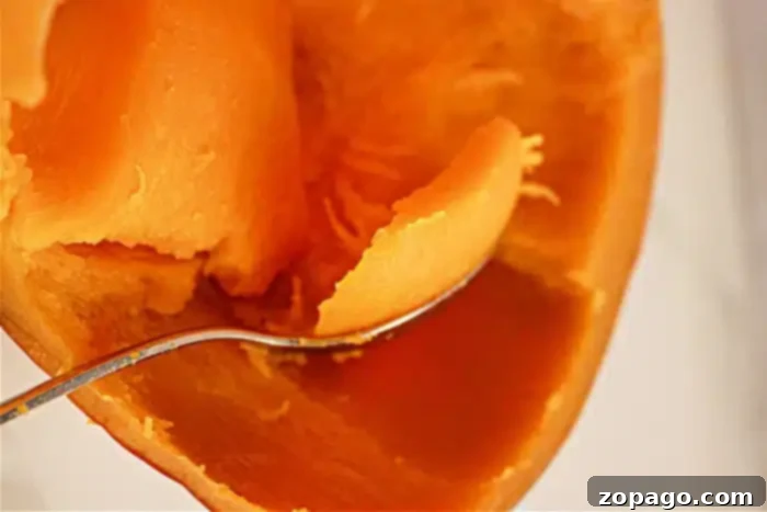 Crockpot Pumpkin Bliss 6 A close-up image of a spoon scooping out the smooth, soft orange flesh of a halved, cooked butternut squash, perfectly illustrating the tender texture achieved with slow cooker pumpkin.
