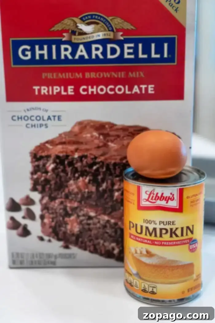 Pumpkin Swirl Boxed Brownies 3 A box of Ghirardelli triple chocolate brownie mix is cleverly paired with a can of Libby's 100% pure pumpkin, hinting at the delightful creation of pumpkin brownies. An egg perches atop the can, ready to bring this delicious idea to life.