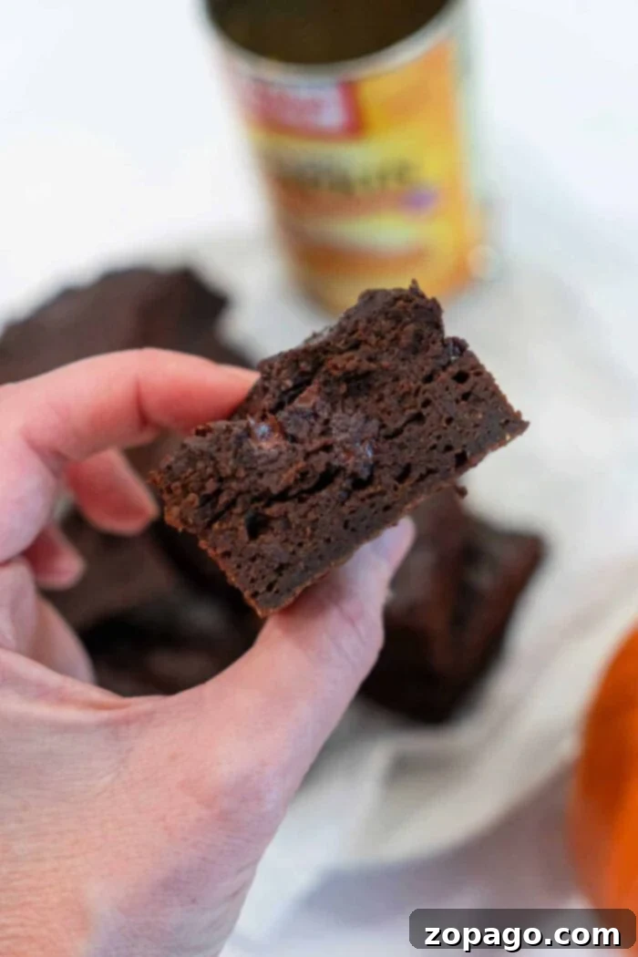 Pumpkin Swirl Boxed Brownies 6 A hand holds a piece of moist pumpkin brownie with a rich interior. In the background, there is a blurred can and more brownies, tempting the senses with their autumnal allure.