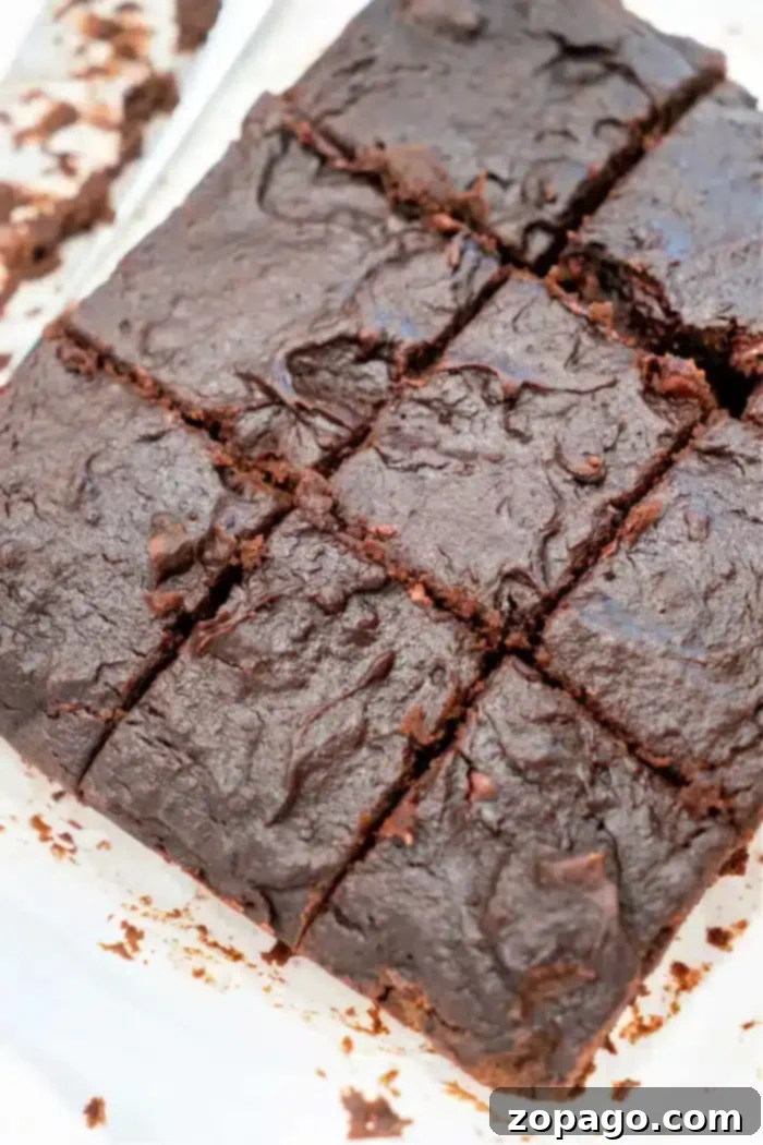 Simple Pumpkin Brownie Upgrade 9 A close-up view of a batch of pumpkin brownies cut into squares reveals their rich, dense texture with a delightful chocolatey appearance. Visible at the edges are some crumbs and chunks of chocolate pieces, adding to their tempting allure.