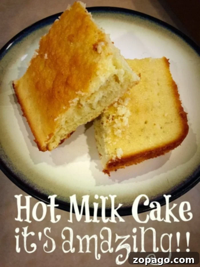 Grandma's Hot Milk Cake 2 Delicious old-fashioned hot milk cake slice