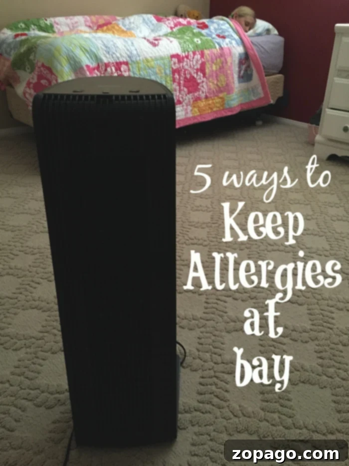 keeping allergies at bay with effective strategies
