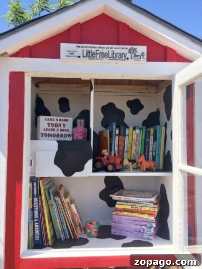 Discovering the charm of a Little Free Library in your local community. A beautifully crafted Little Free Library inviting community book exchanges.