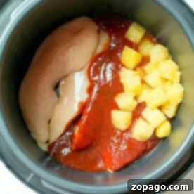 Close-up of Crock Pot Express Barbecue Chicken