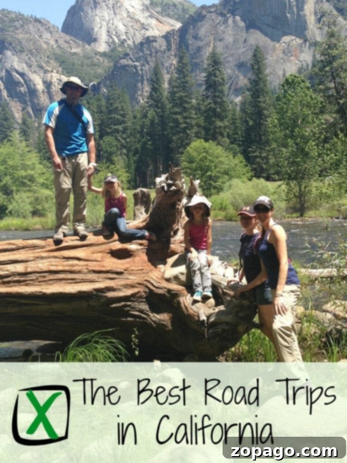 Discover the best California road trips for families and adventurers, exploring iconic National Parks and scenic routes across the Golden State. best california road trips