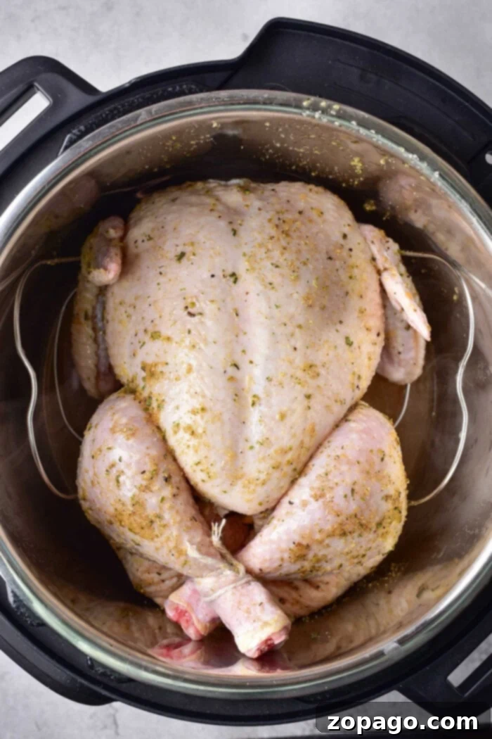 Master Your Busy Weeks with Instant Pot Meal Prep 2 Whole uncooked chicken seasoned with spices in a metal pot, perfect for meal prep during busy weeks, rests on a gray surface.