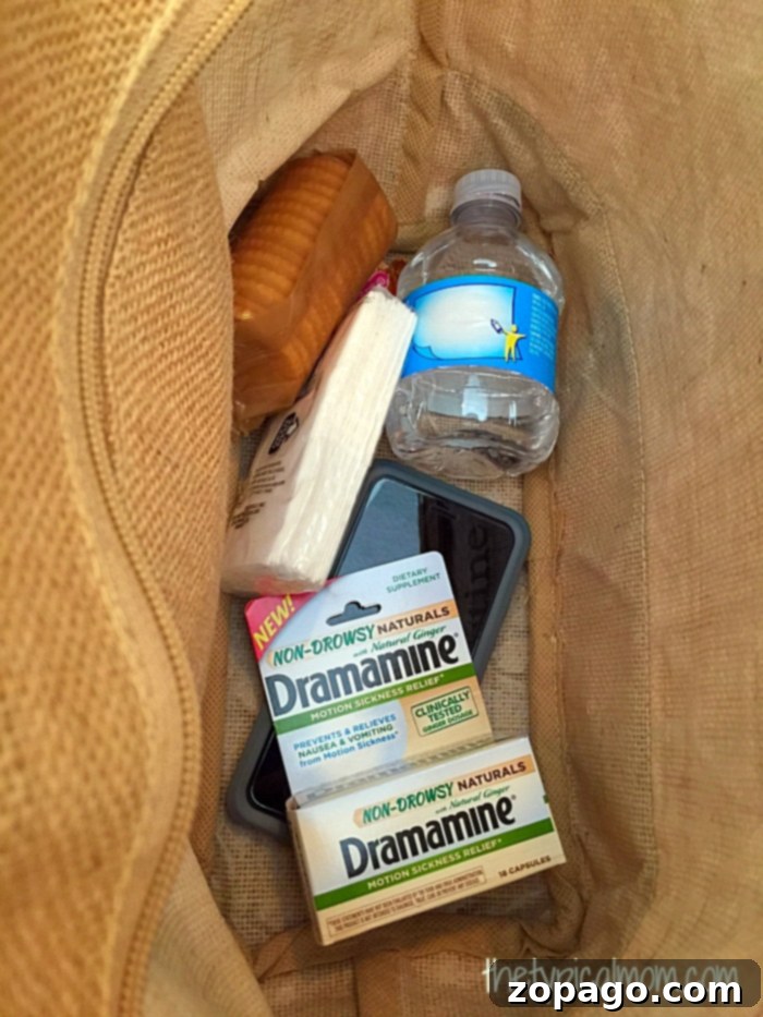 Reliable Motion Sickness Prevention with Dramamine Naturals Dramamine non-drowsy naturals for motion sickness