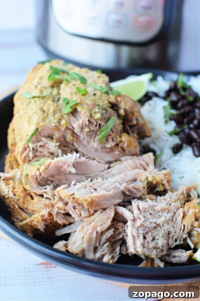 Perfectly Roasted Pork Sirloin 6 A delightful recipe featuring shredded pork sirloin roast in green sauce, elegantly served with rice, black beans, and lime wedges on a sleek black plate.