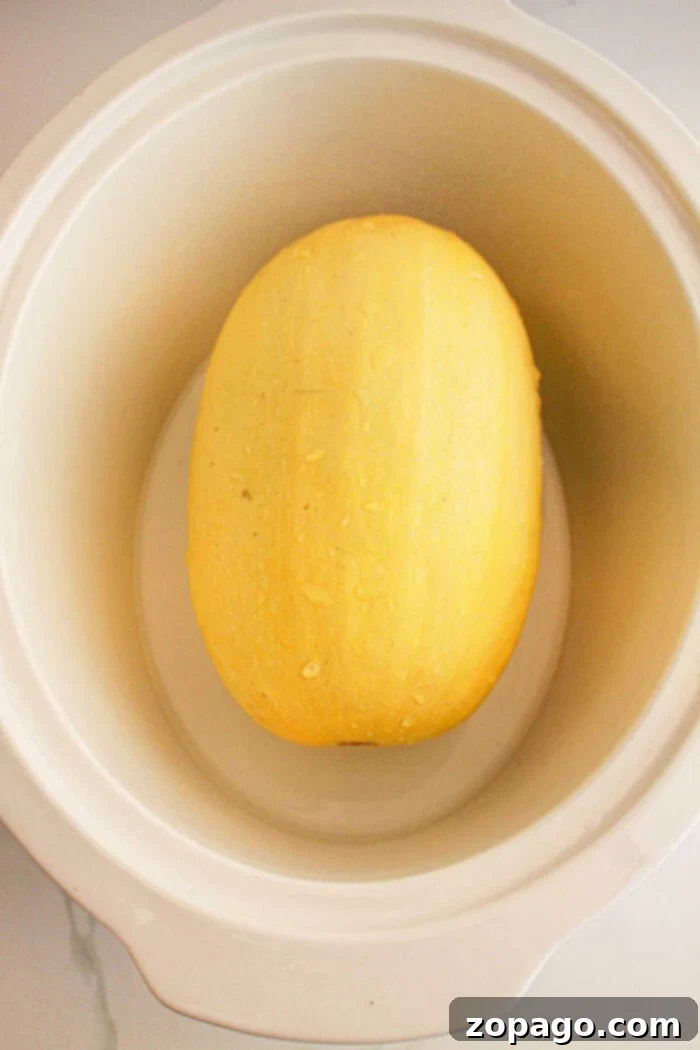 Effortless Slow Cooker Spaghetti Squash 2 A whole slow cooker spaghetti squash nestles perfectly inside a white slow cooker, ready to transform into a delectable dish.