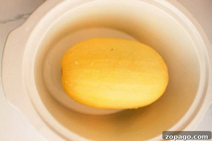 Effortless Slow Cooker Spaghetti Squash 4 A whole slow cooker spaghetti squash sits in a white slow cooker, ready for cooking.