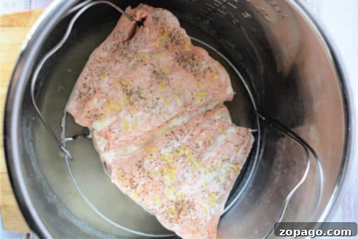 Quick Pressure Cooker Salmon 6 Salmon fillets infused with pepper and lemon zest, cooked effortlessly in a pressure cooker.