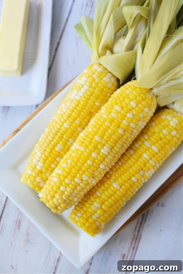 Perfect Oven Roasted Corn on the Cob 2 Three ears of corn, nestled with their husks on a white plate, await their transformation into buttery perfection. In the background, the butter stands ready to enhance this savory delight. Perfectly cooked corn on the cob is just moments away from the ovens gentle warmth.