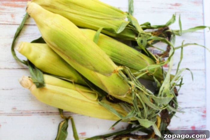 Perfect Oven Roasted Corn on the Cob 3 Fresh ears of corn with husks and leaves rest on a wooden surface, ready for oven cooking.