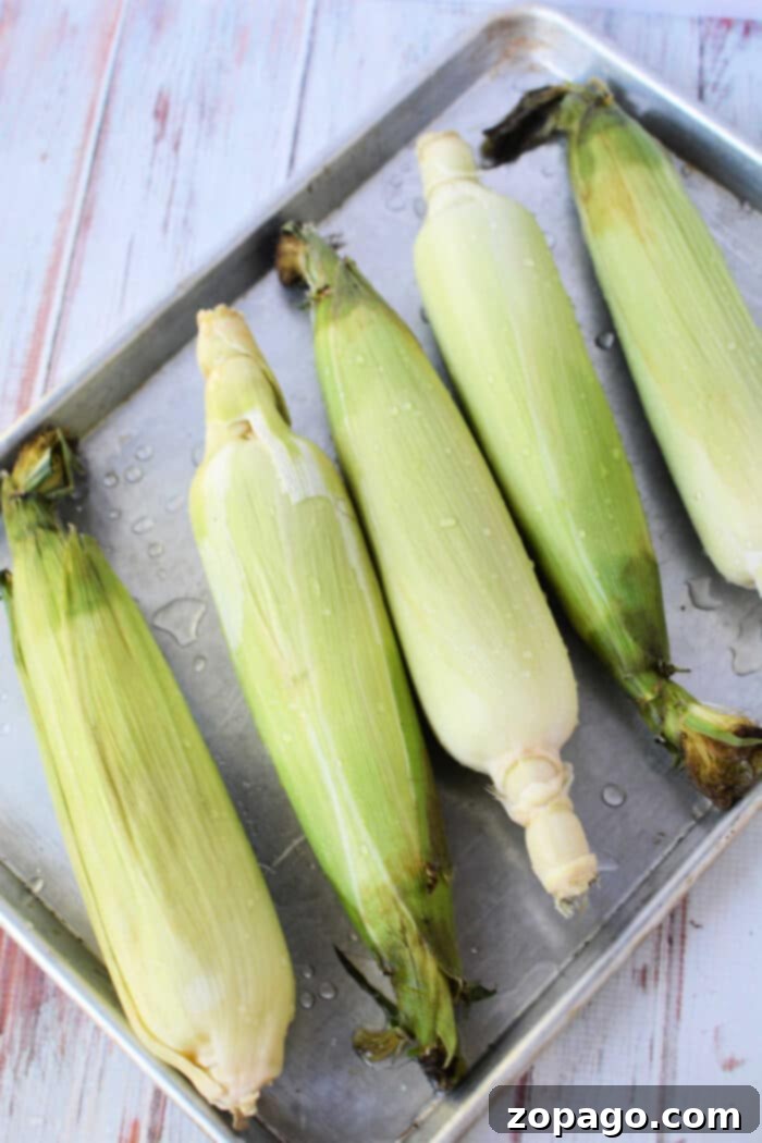 Perfect Oven Roasted Corn on the Cob 4 Five ears of corn with husks rest on a metal baking tray, ready for oven cooking perfection.