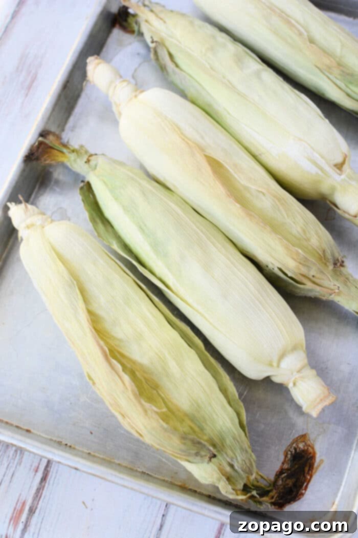 Perfect Oven Roasted Corn on the Cob 5 Five unpeeled ears of corn on the cob rest side by side on a metal baking tray, ready for oven cooking, arranged neatly on a wooden surface.