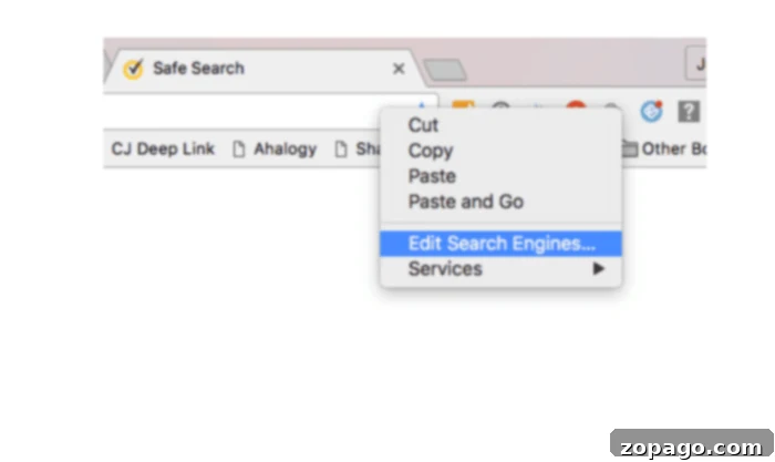 Secrets to a Zero-Cost Disney World Trip 2 Screenshot demonstrating how to change default search engine to Swagbucks for earning points towards free Disney World tickets.