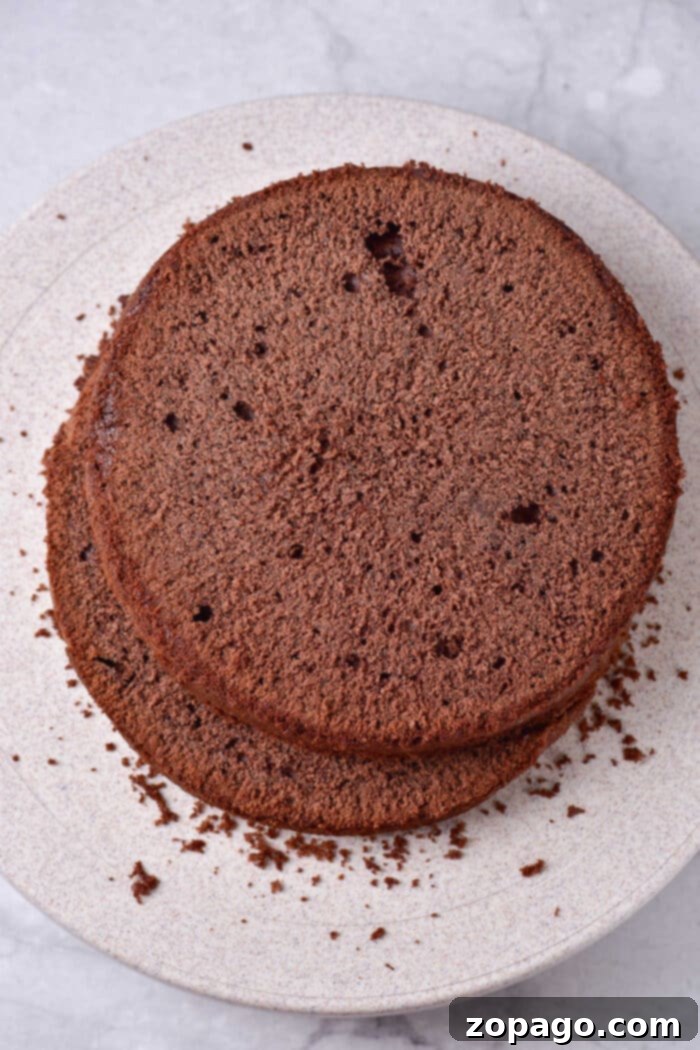 Surprisingly Moist Mayonnaise Cake 3 How to Bake a Cake in the Microwave