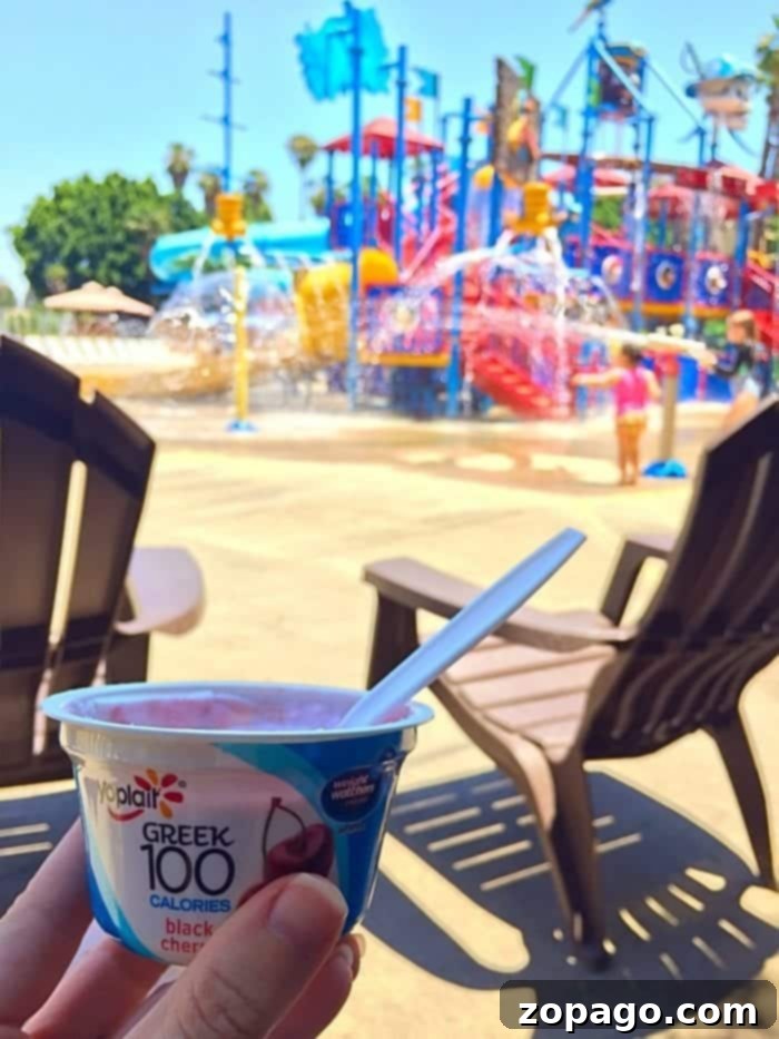Portable Fuel for Little Explorers 2 Best On the Go Snacks for Kids and Families