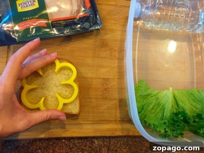 Fun Lunch Ideas Kids Will Love 2 Easy and fun sandwich ideas for children's lunchboxes using cookie cutters