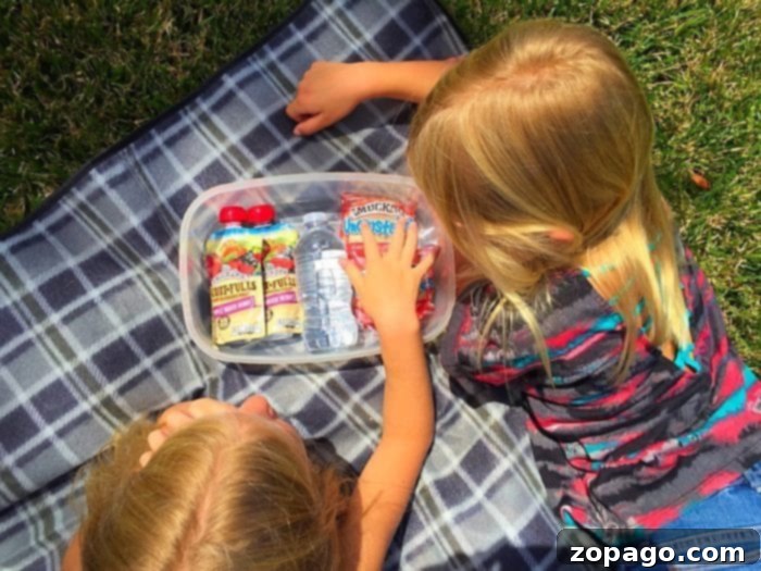 Sunshine Snackfest 4 Family enjoying a summer picnic outdoors as part of their staycation, with a basket of snacks