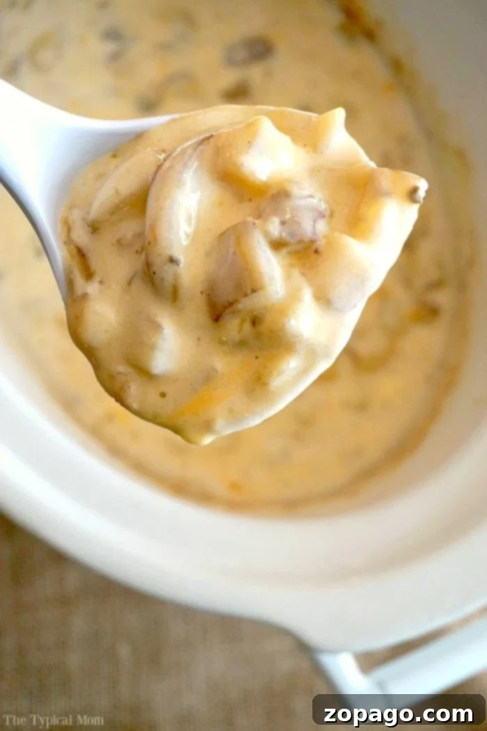 This crockpot loaded baked potato soup is a family-favorite, easy, and delicious recipe. Explore options for slow cooker, stovetop, or pressure cooker. A comforting bowl of crockpot loaded baked potato soup, garnished generously with cheese and chives.